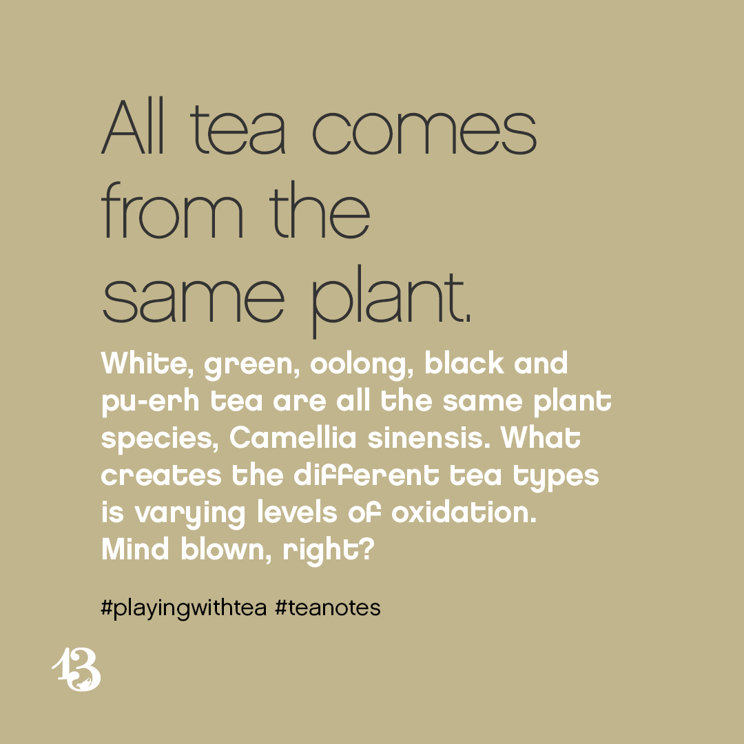 All tea comes from the same plant. White, green, oolong, black and pu-erh tea are all the same plant species, Camellia sinensis. What creates the different tea types is varying levels of oxidation. Mind blown, right?